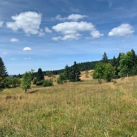 Ubytovani U Mateje Horní Blatná 外观 照片