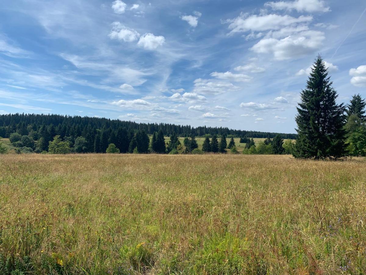 Ubytovani U Mateje Horní Blatná 外观 照片