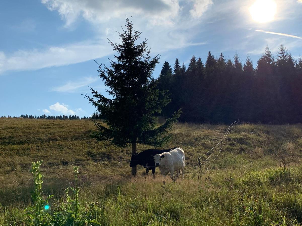Ubytovani U Mateje Horní Blatná 外观 照片